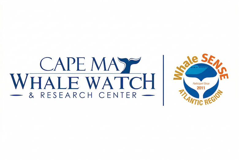 Things To Do Cape May Whale Watch and research Center